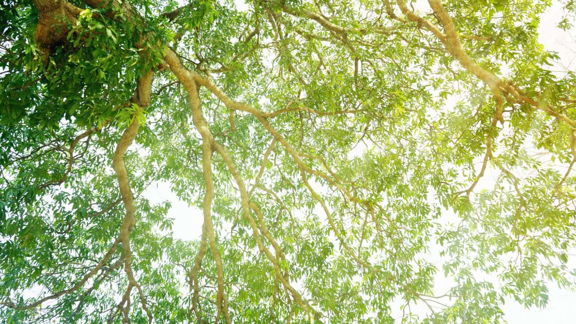 Sustainability is not just a concept for LESER Sustainability is not just a concept for LESER