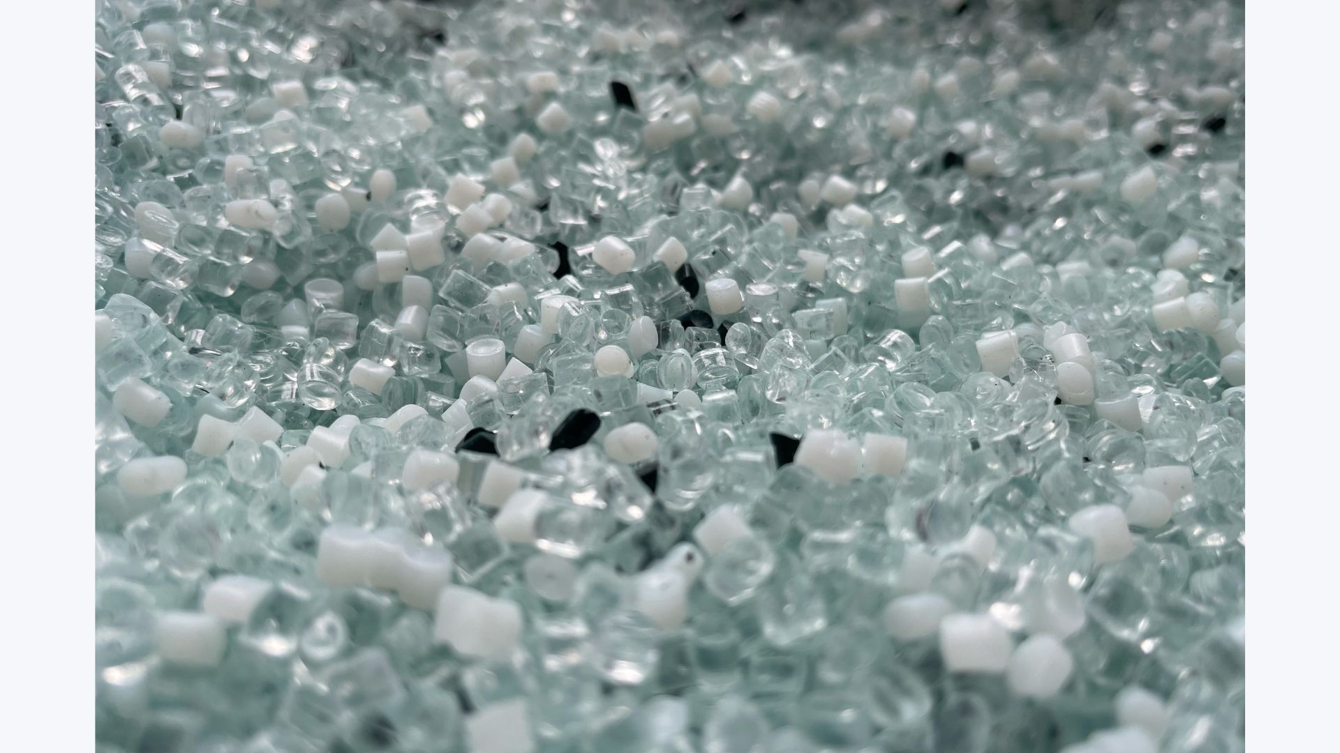 Our bioplastic