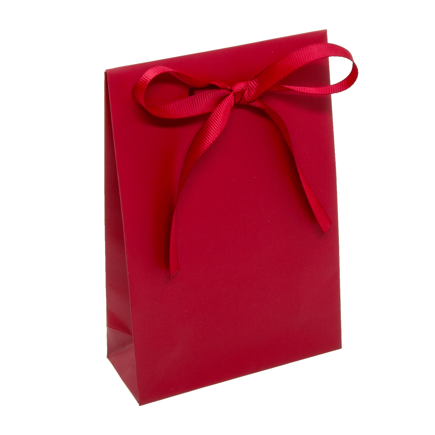 Paper carrier bags with elegant silk ribbon